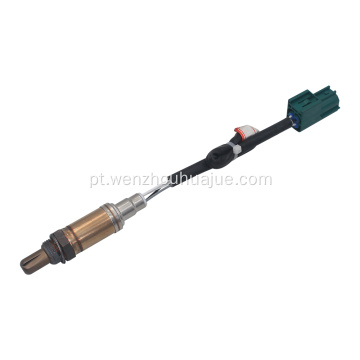 226A0-5M301 Sensor de oxigênio